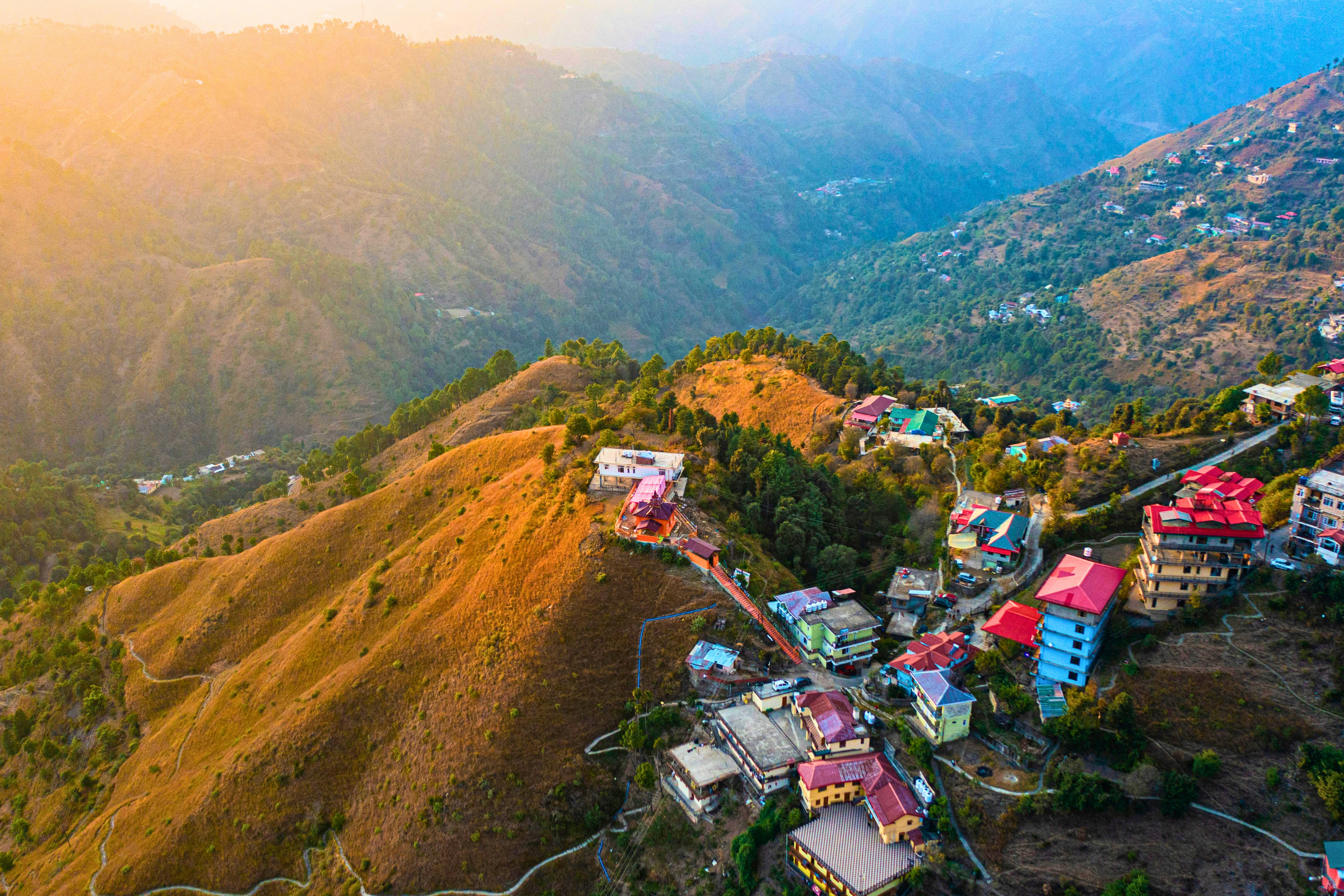 shimla (3).webp